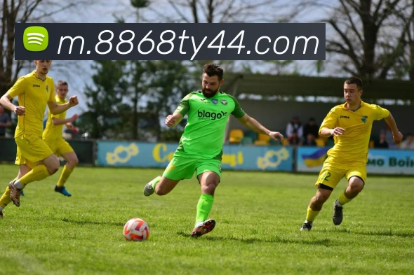 8868体育服务体系